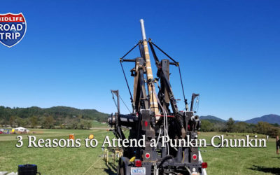 3 Reasons to Attend a Punkin Chunkin