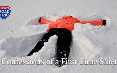 Confessions of a First-Time Skier