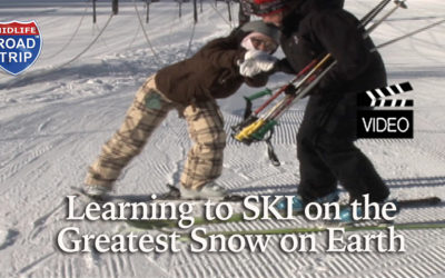 Ski Lessons on the Greatest Snow on Earth
