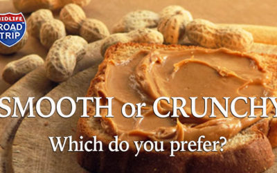 The Great Debate Continues…  Smooth or Crunchy? Which is YOUR preference?