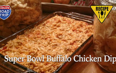 Super Bowl Buffalo Chicken Dip