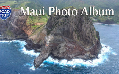 Maui Photo Album