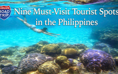 Nine Must-Visit Tourist Spots in the Philippines